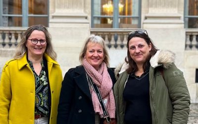 CCMMEP du 29 janvier 2025